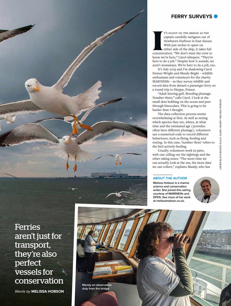 BBC Wildlife Magazine Preview Pages