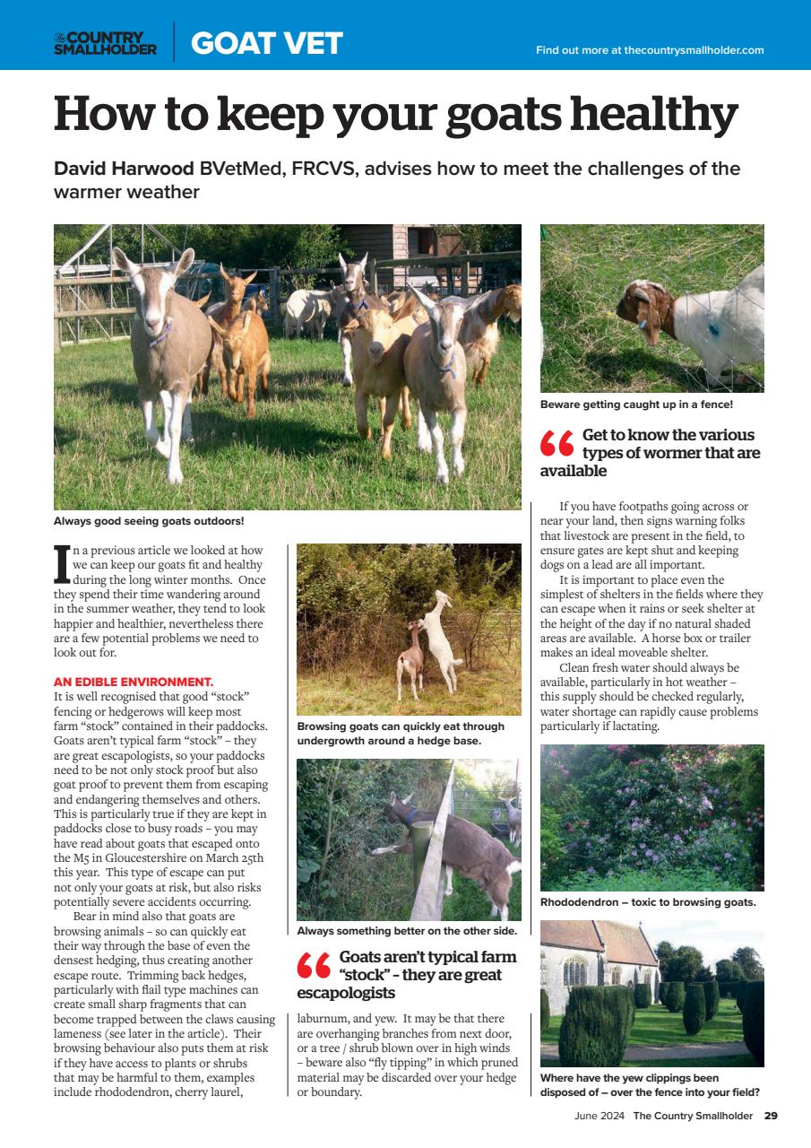 The Country Smallholder Preview Pages