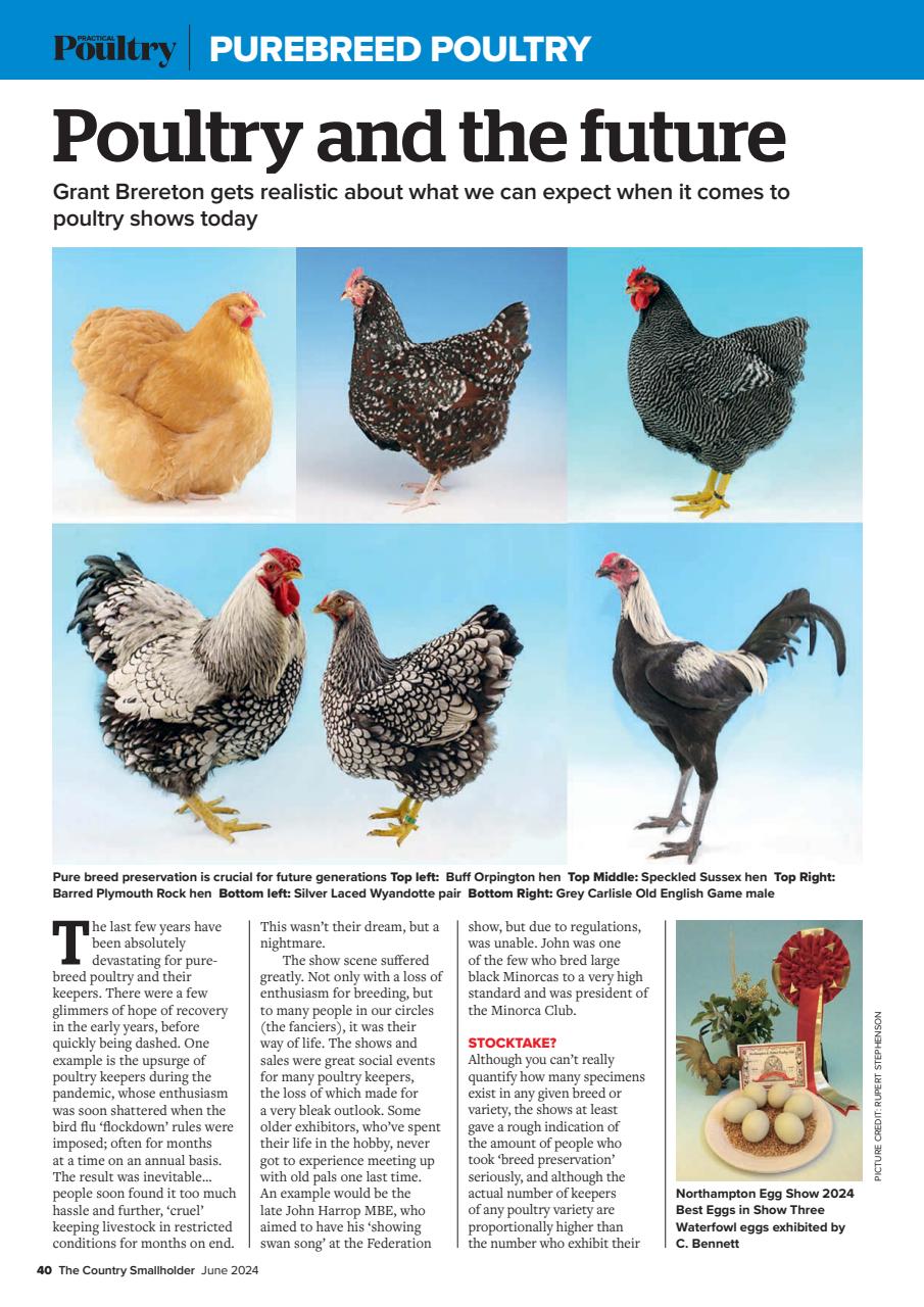 The Country Smallholder Preview Pages