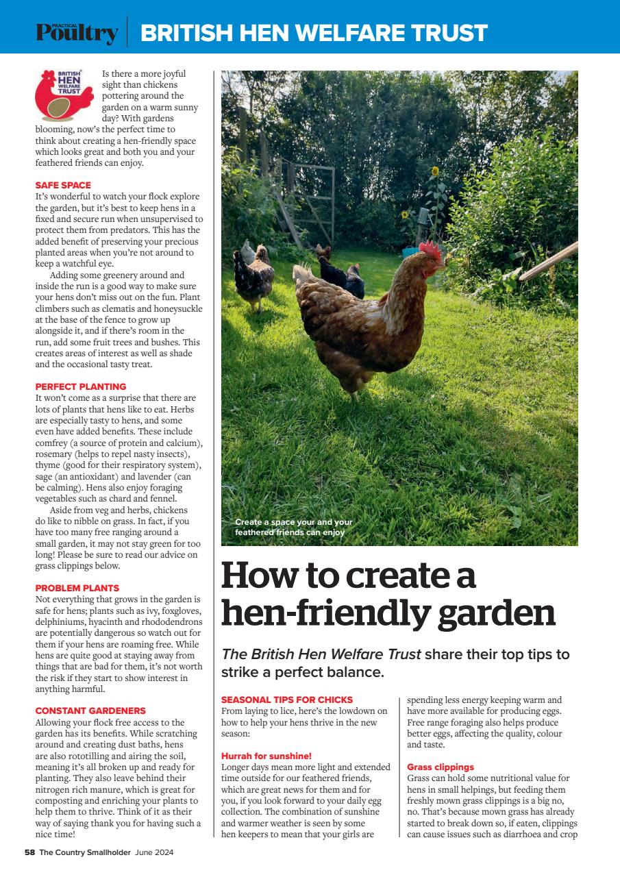The Country Smallholder Preview Pages