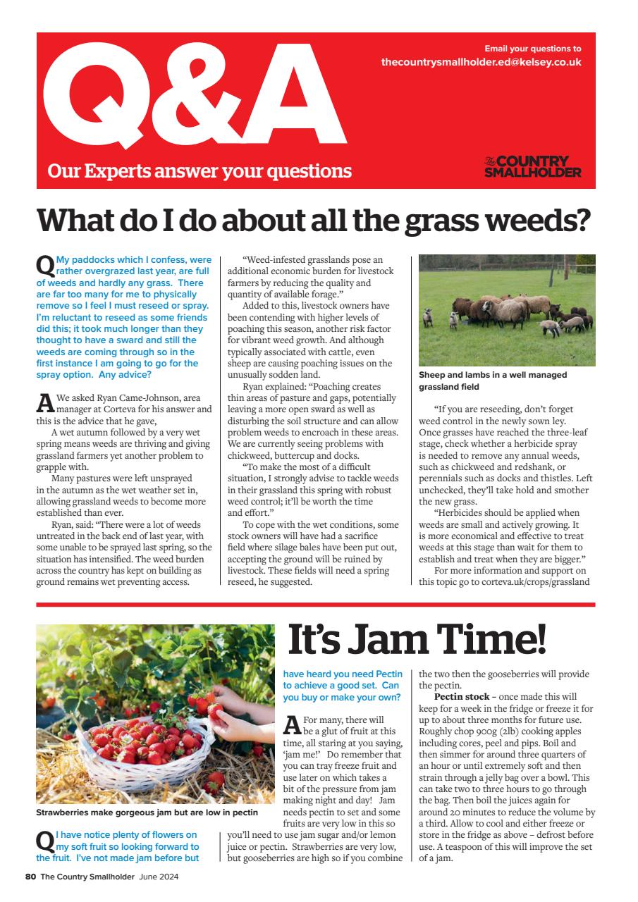 The Country Smallholder Preview Pages