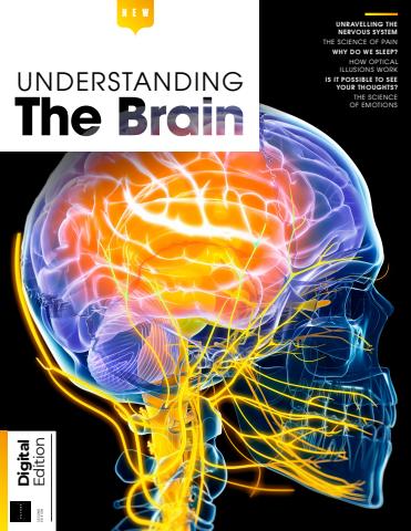 How It Works Bookazine issue Understanding The Brain Second Edition