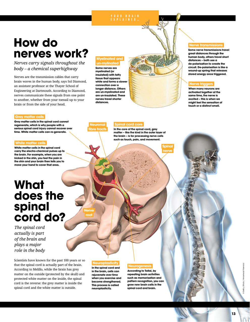 How It Works Bookazine Preview Pages