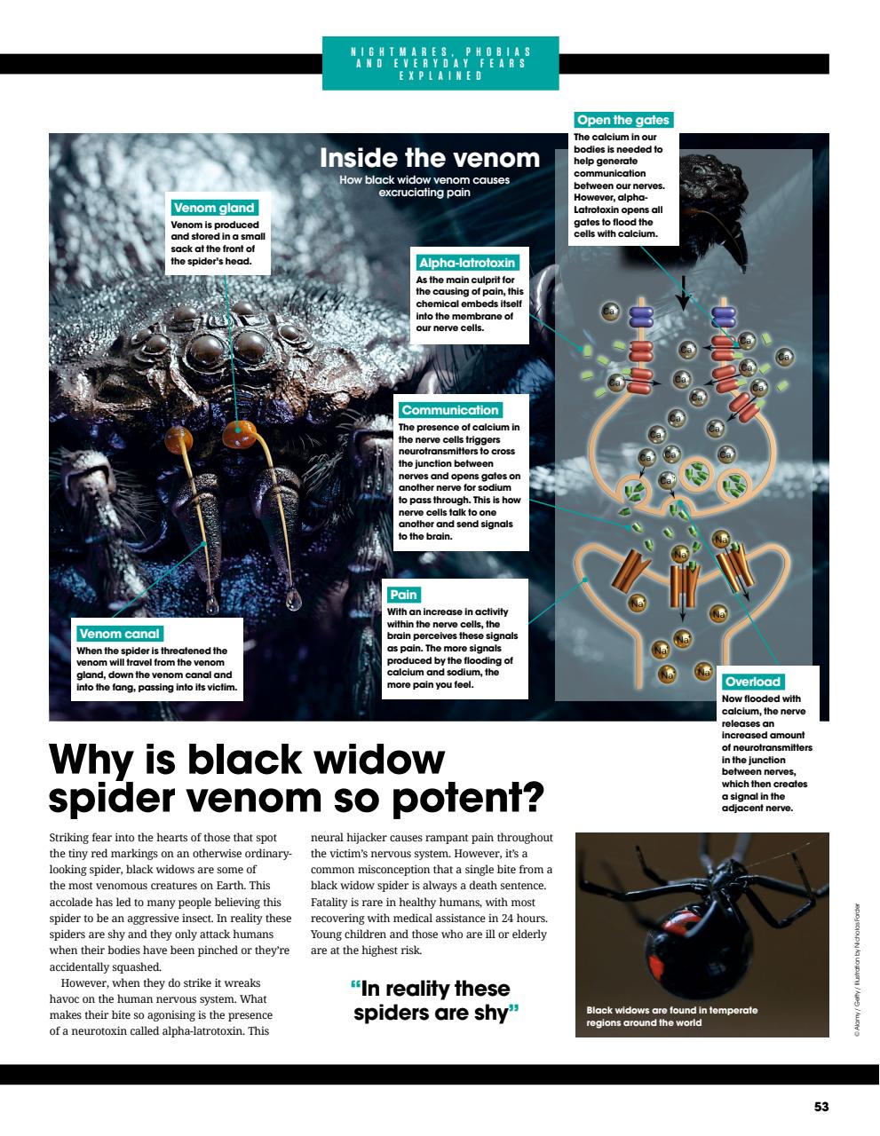How It Works Bookazine Preview Pages