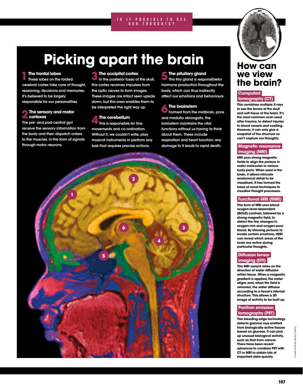 How It Works Bookazine Preview Pages