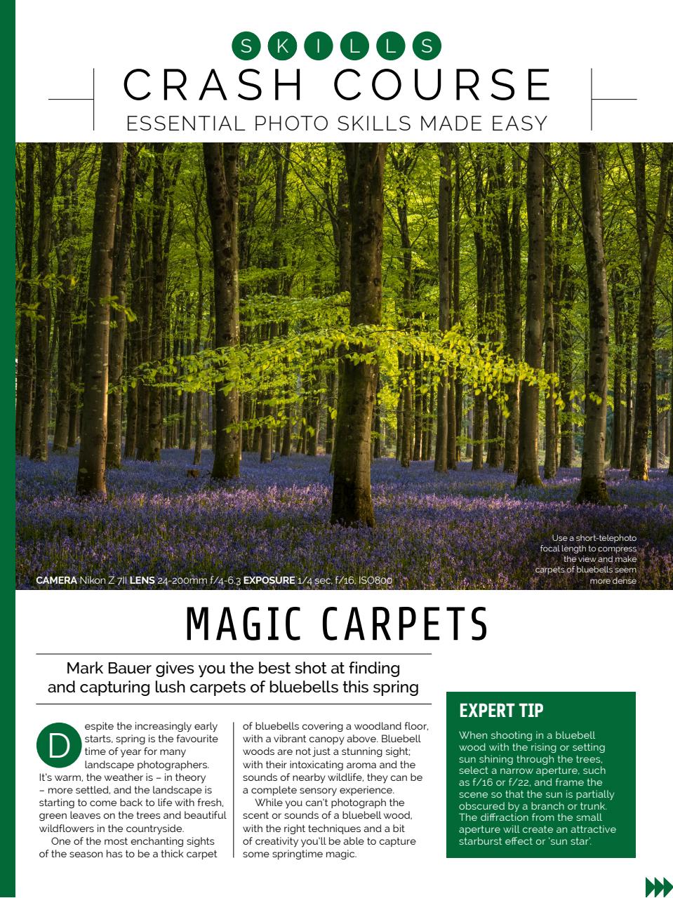 Photography Week Preview Pages