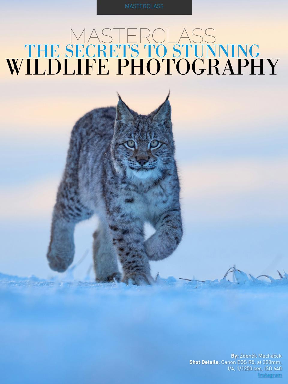 Photography Masterclass Magazine Preview Pages