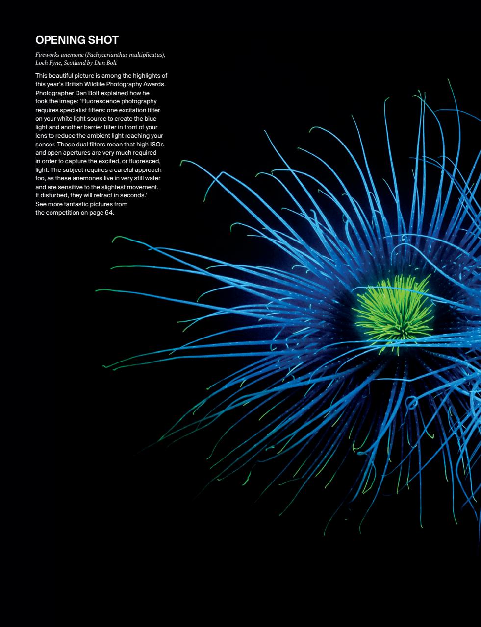 Outdoor Photography Preview Pages