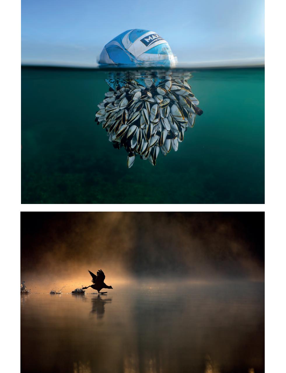 Outdoor Photography Preview Pages