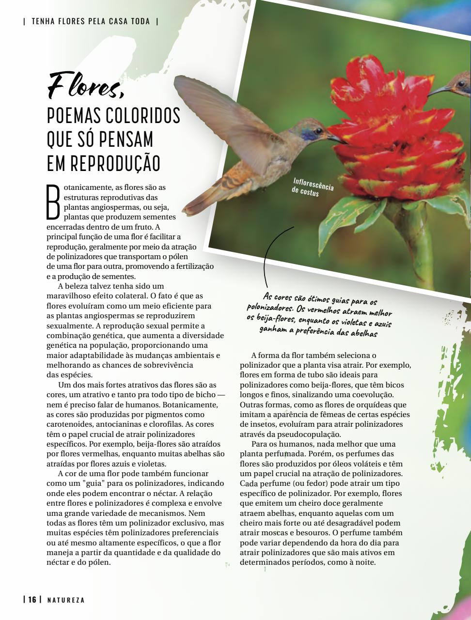 Natureza Preview Pages