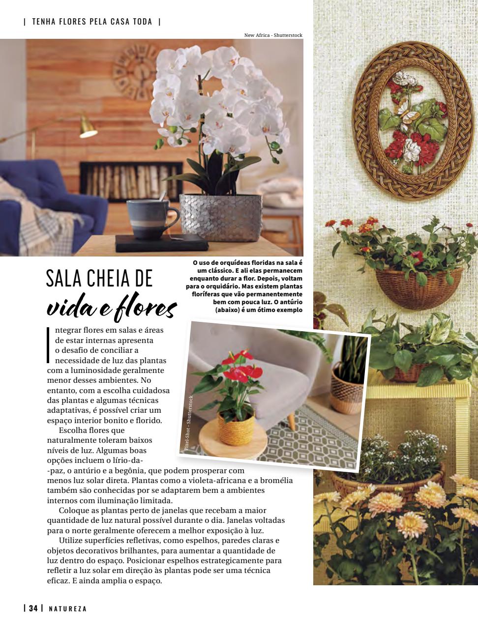 Natureza Preview Pages