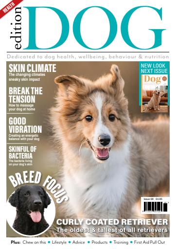 Edition Dog issue 