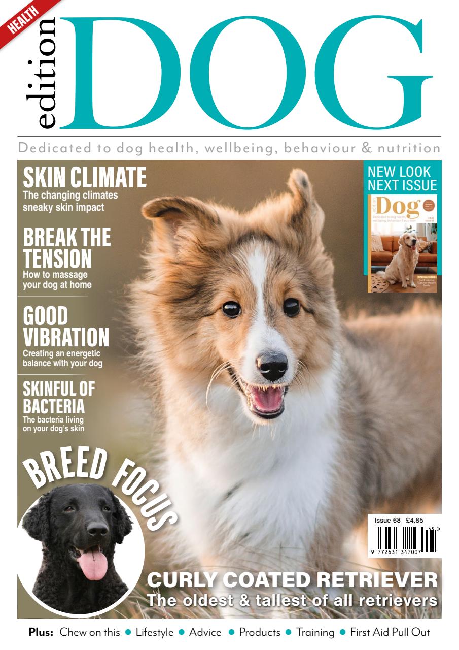 Edition Dog Preview Pages