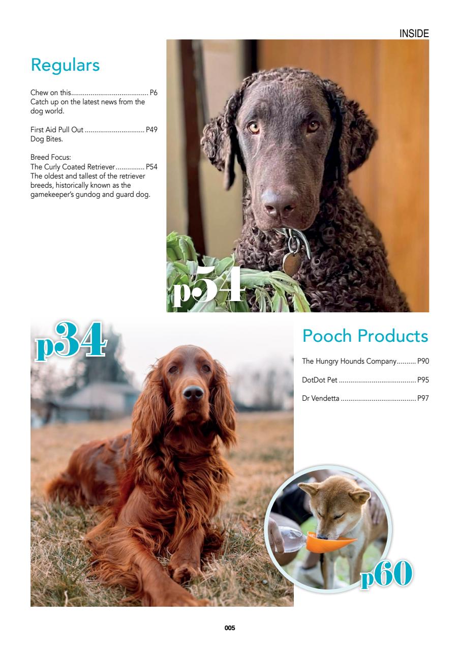 Edition Dog Preview Pages