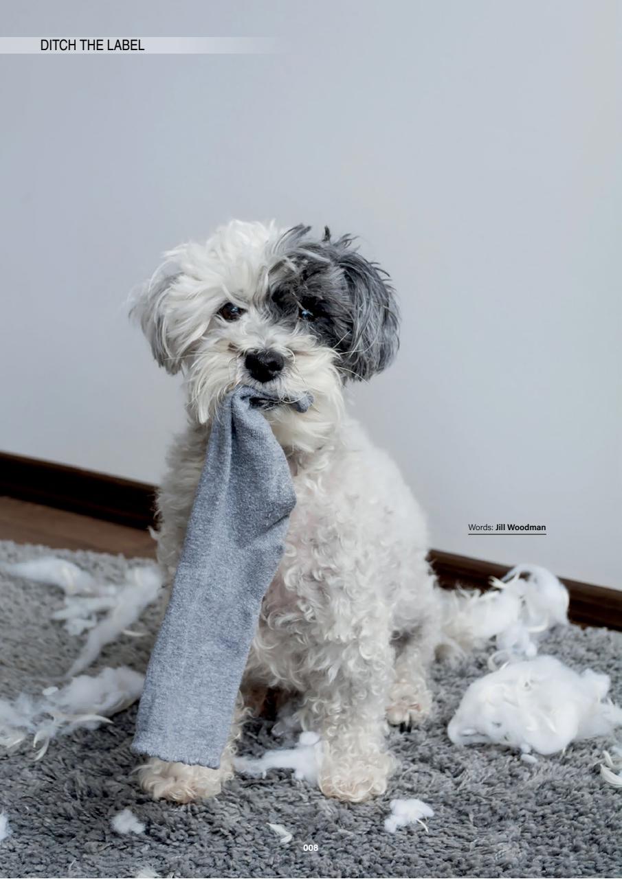 Edition Dog Preview Pages
