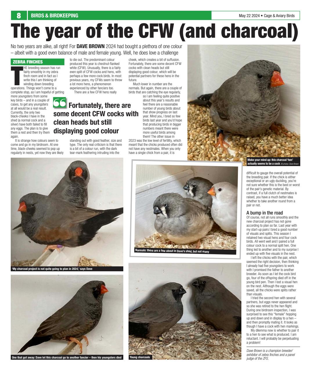 Cage & Aviary Birds Preview Pages