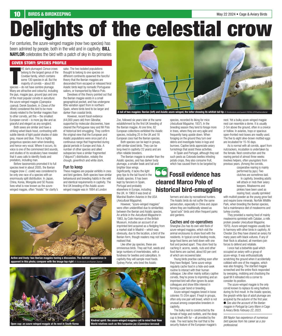 Cage & Aviary Birds Preview Pages