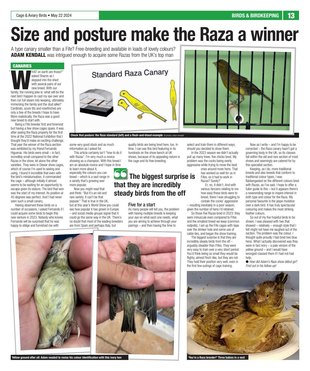 Cage & Aviary Birds Preview Pages