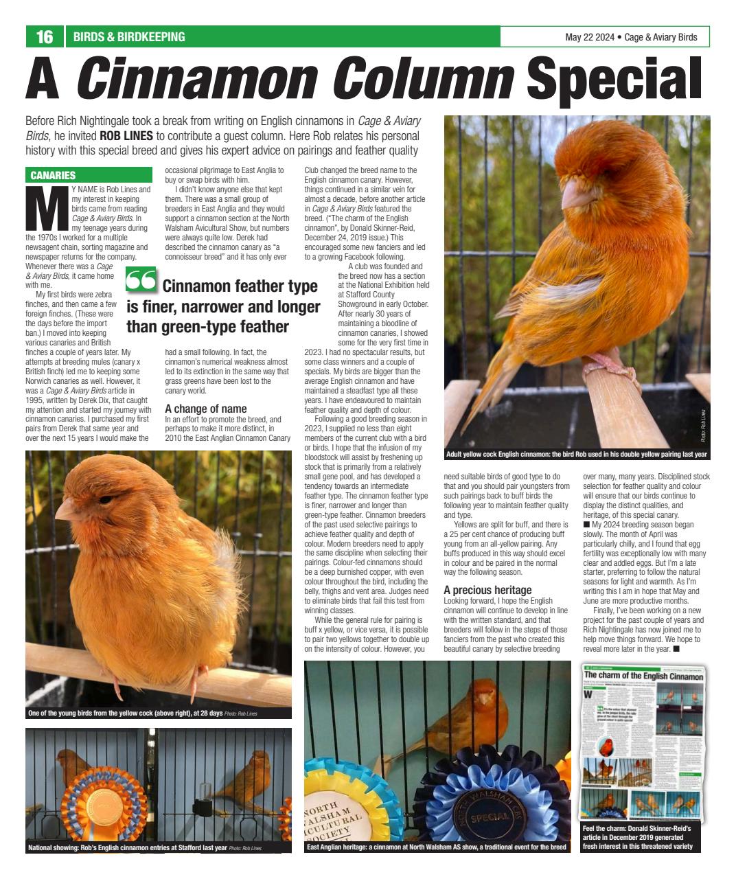 Cage & Aviary Birds Preview Pages