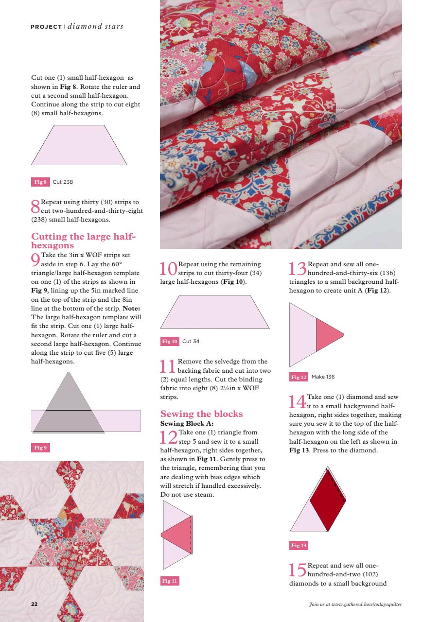 Today’s Quilter Preview Pages