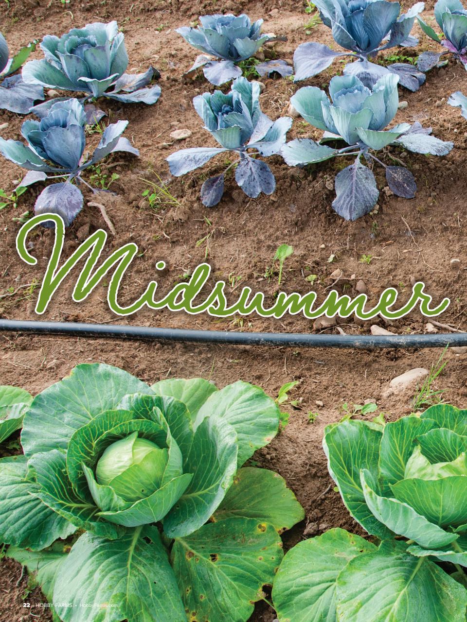 Hobby Farms Magazine Preview Pages