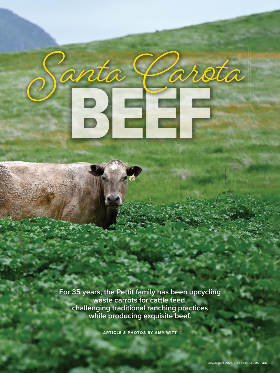 Hobby Farms Magazine Preview Pages