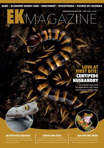 Exotics Keeper issue 