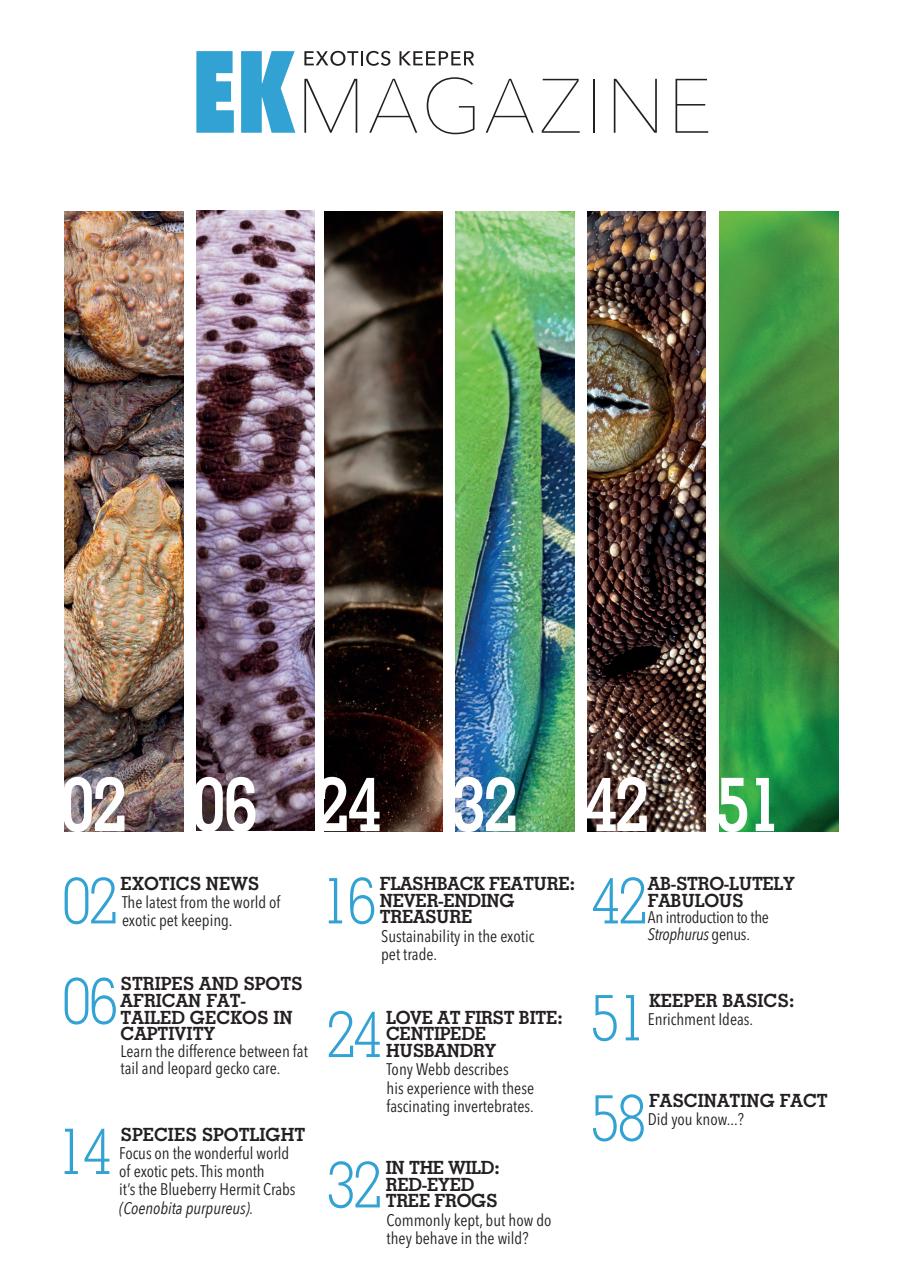 Exotics Keeper Preview Pages