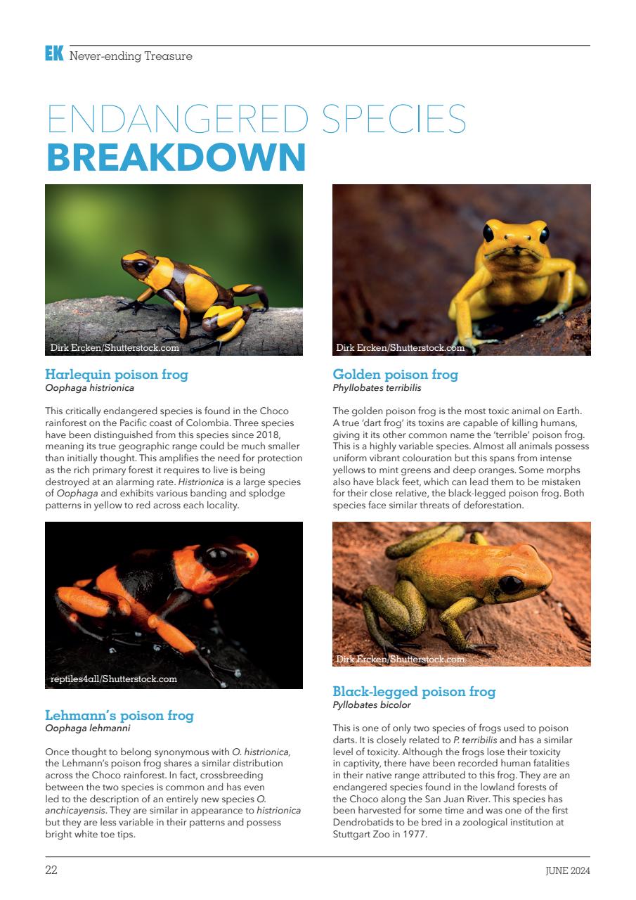 Exotics Keeper Preview Pages