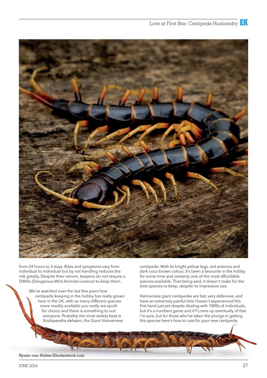 Exotics Keeper Preview Pages