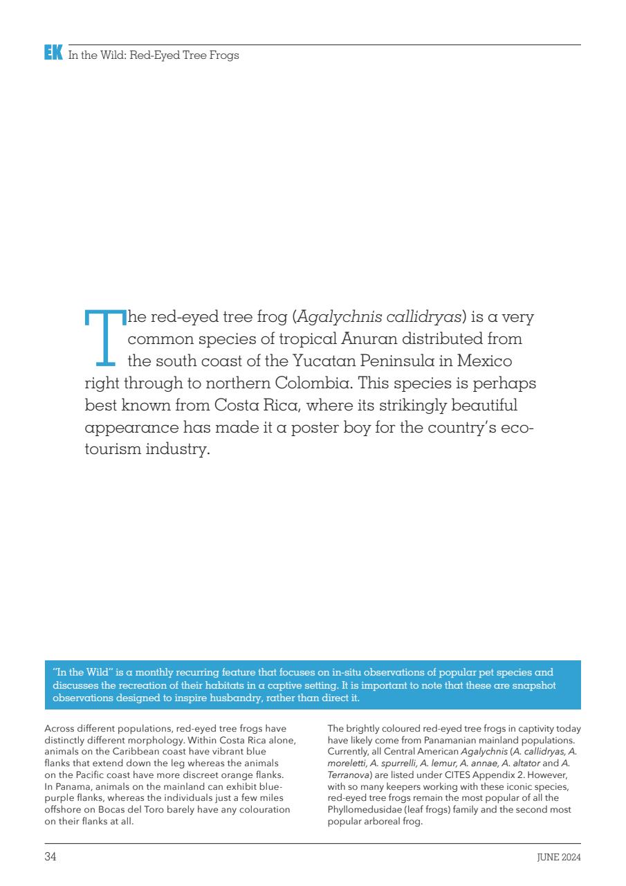 Exotics Keeper Preview Pages