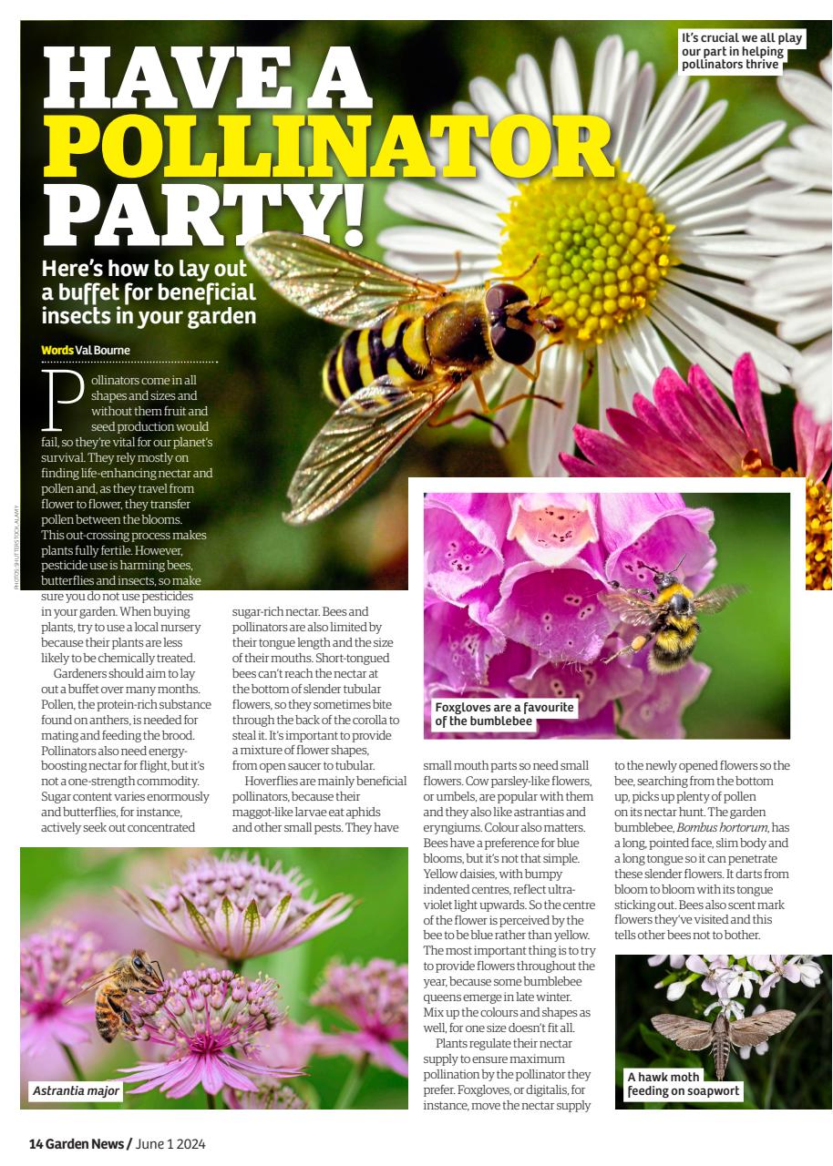 Garden News Preview Pages