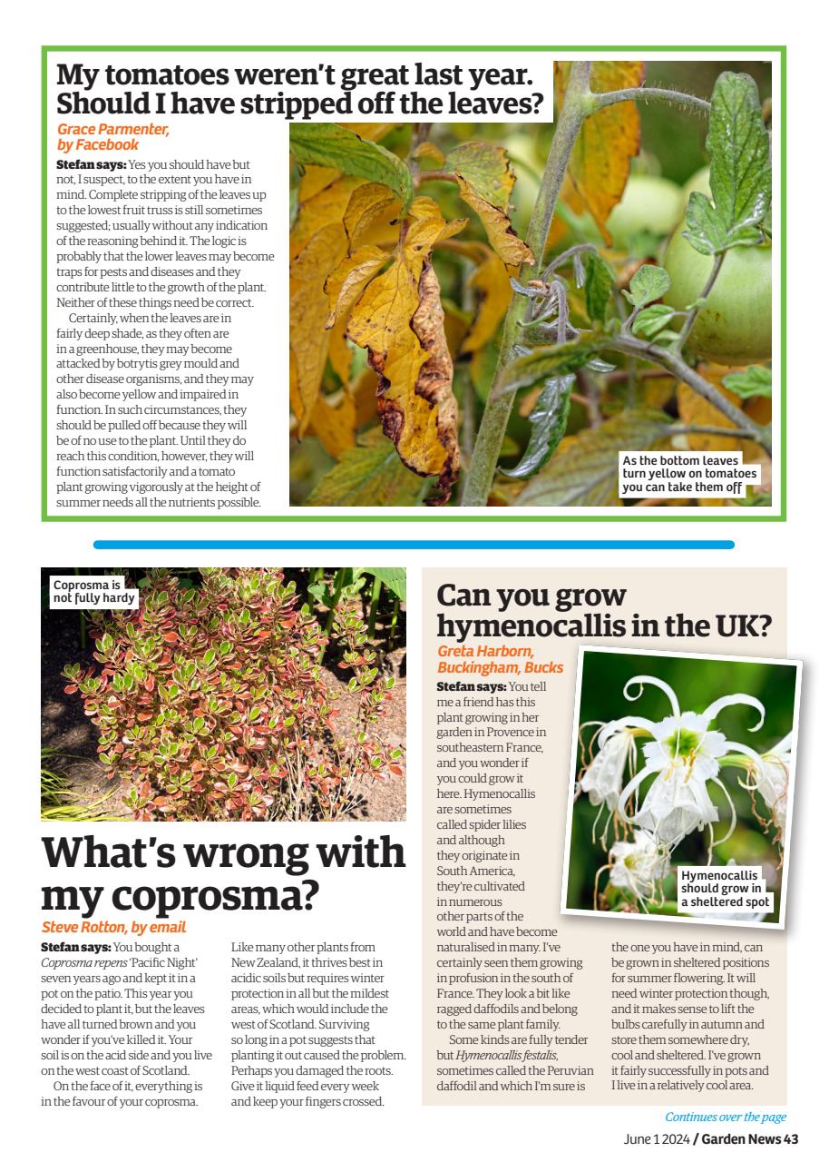 Garden News Preview Pages
