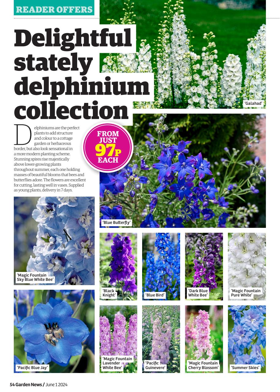 Garden News Preview Pages