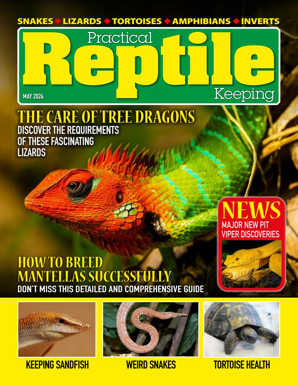 Practical Reptile Keeping Preview Pages