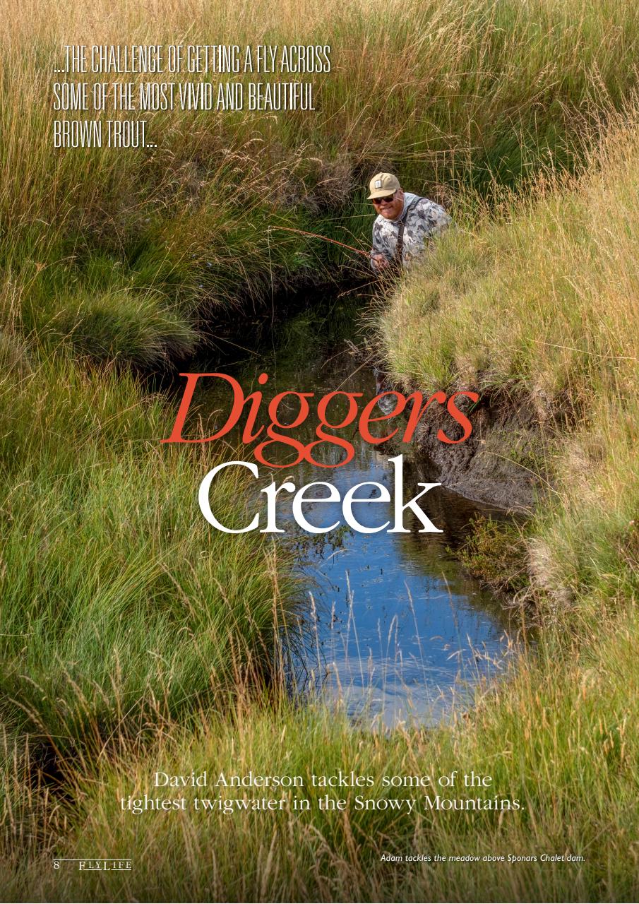 FlyLife Preview Pages