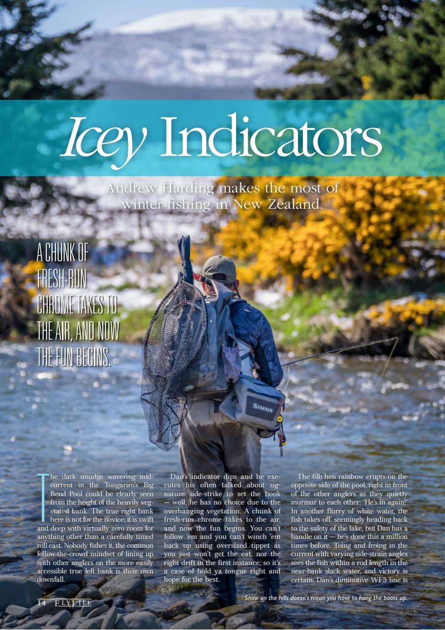 FlyLife Preview Pages