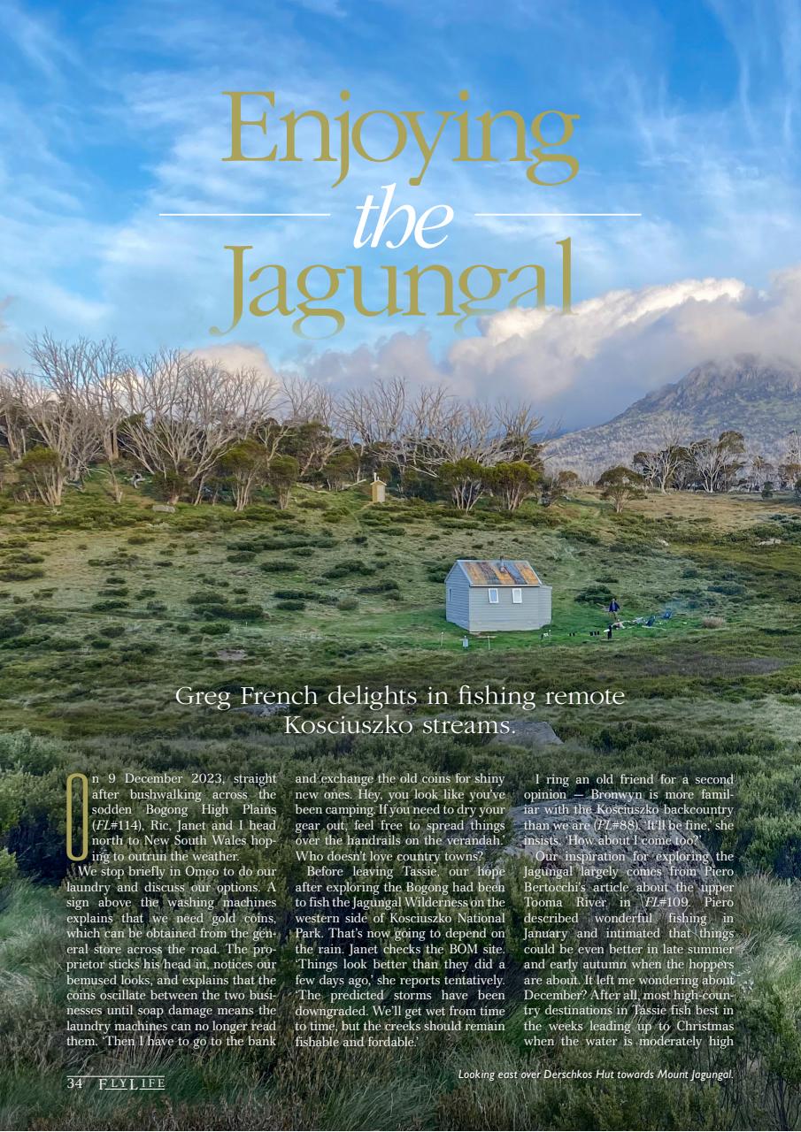 FlyLife Preview Pages