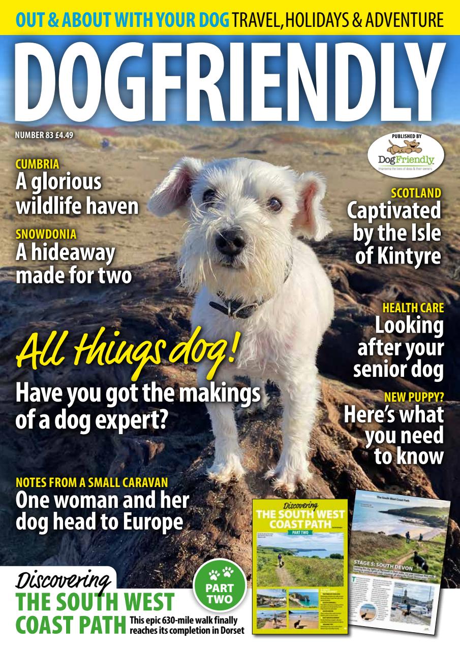 Dog Friendly Preview Pages