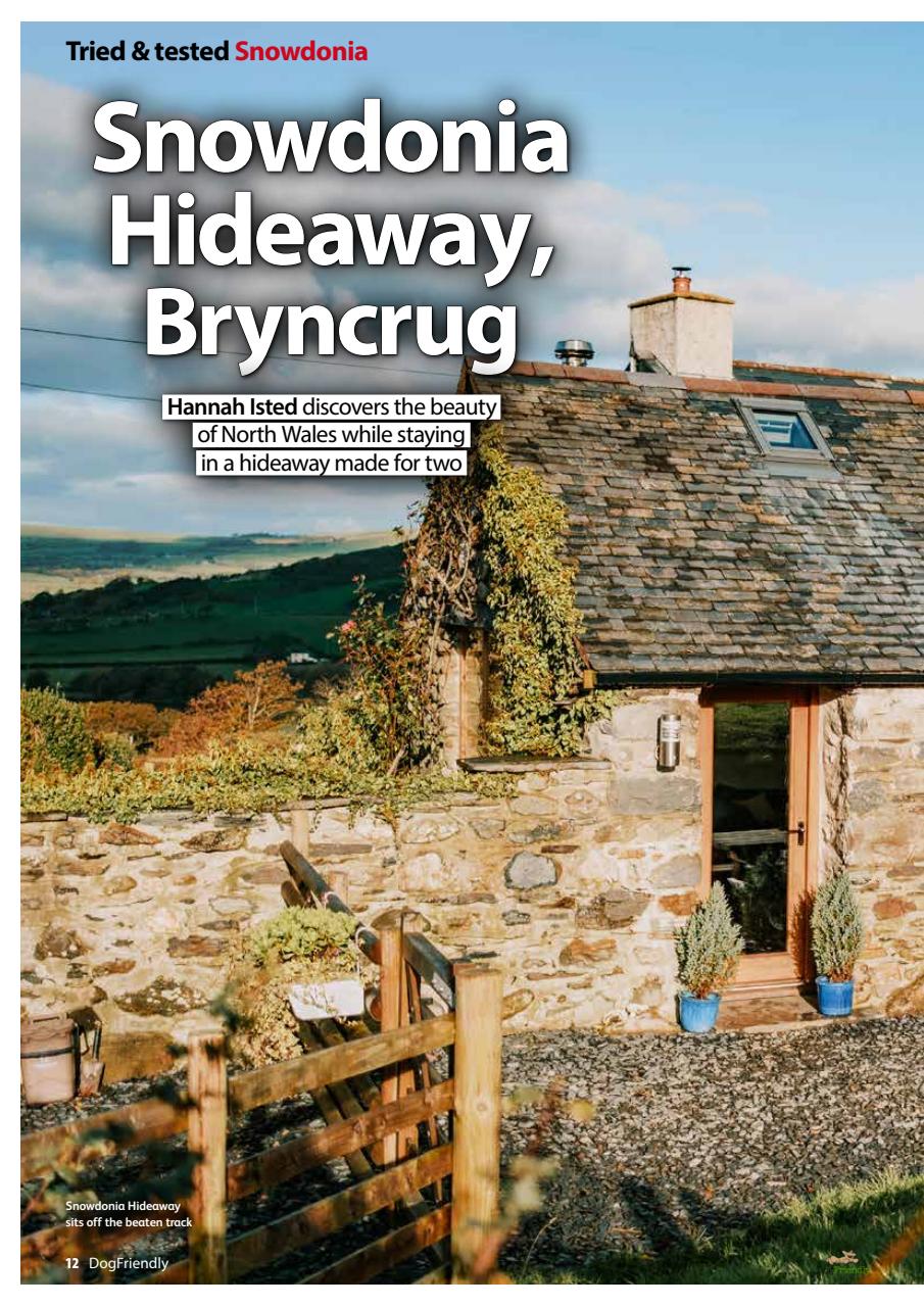 Dog Friendly Preview Pages