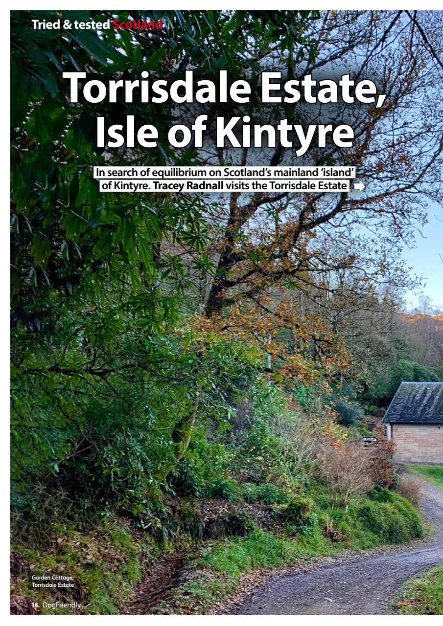 Dog Friendly Preview Pages