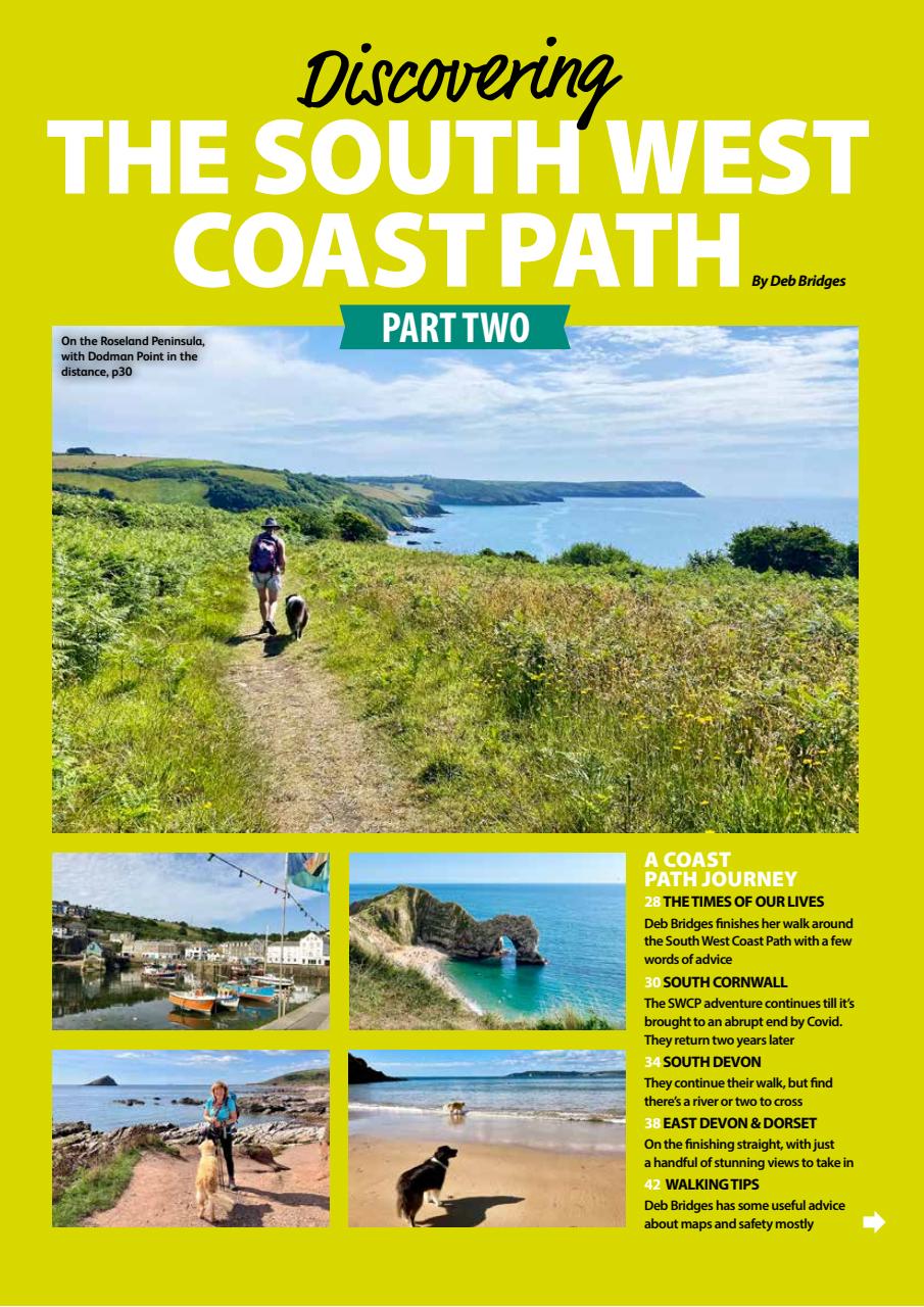 Dog Friendly Preview Pages