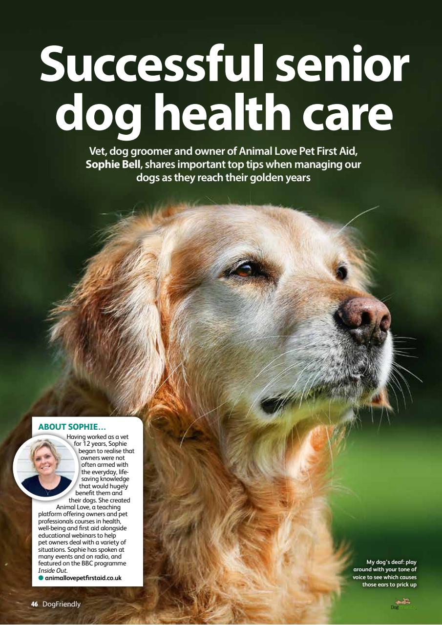 Dog Friendly Preview Pages