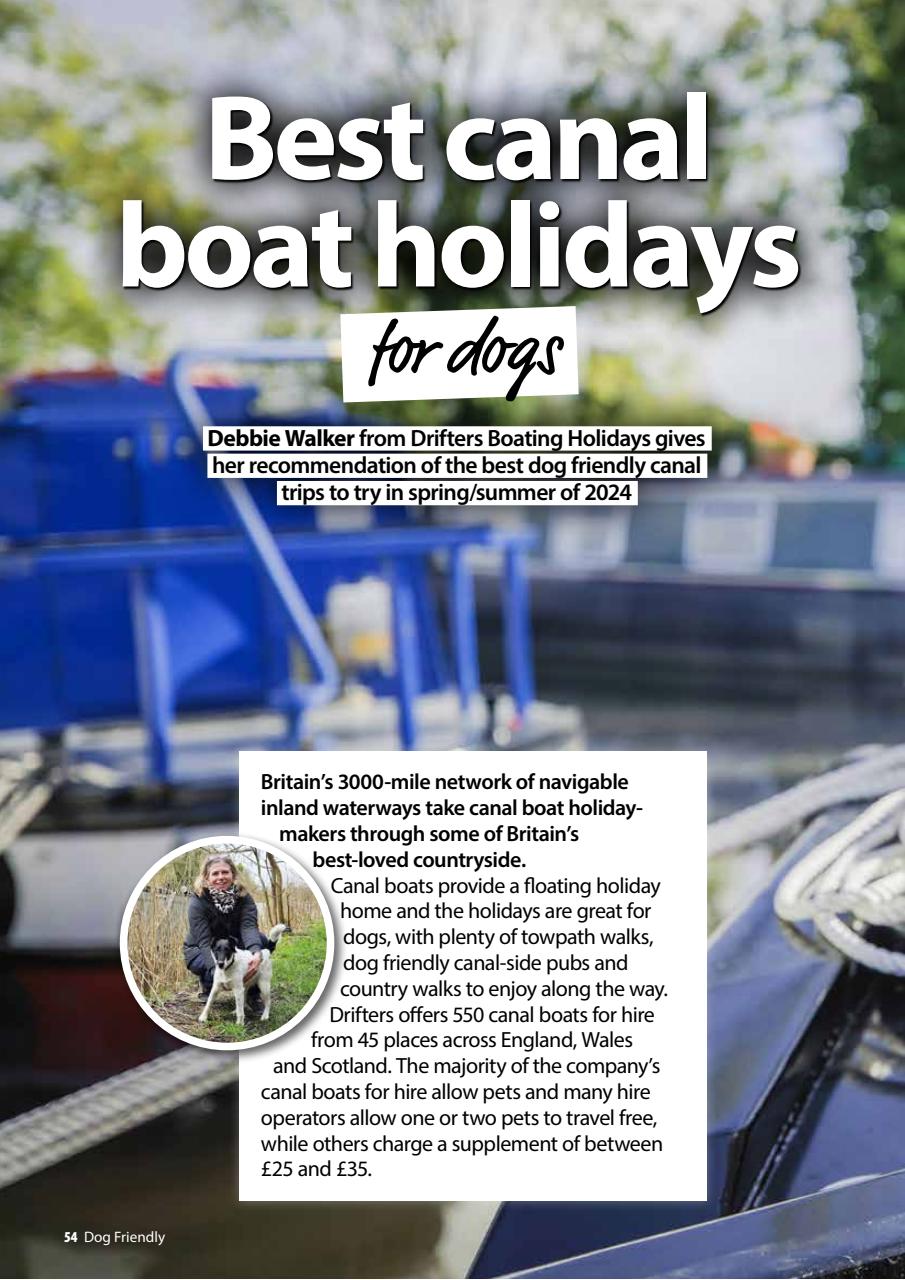 Dog Friendly Preview Pages