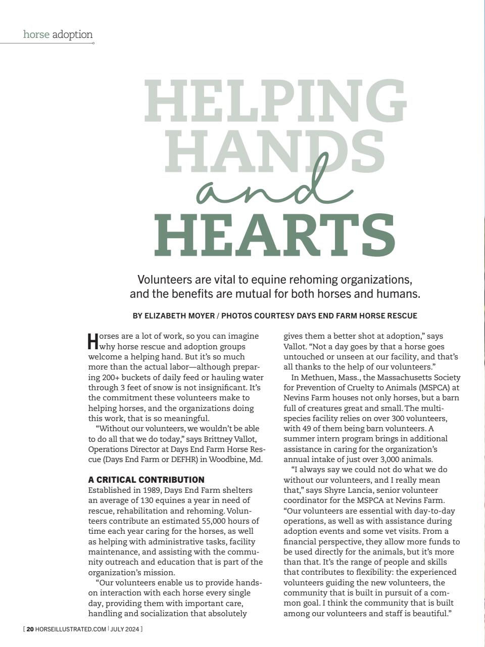 Horse Illustrated Magazine Preview Pages