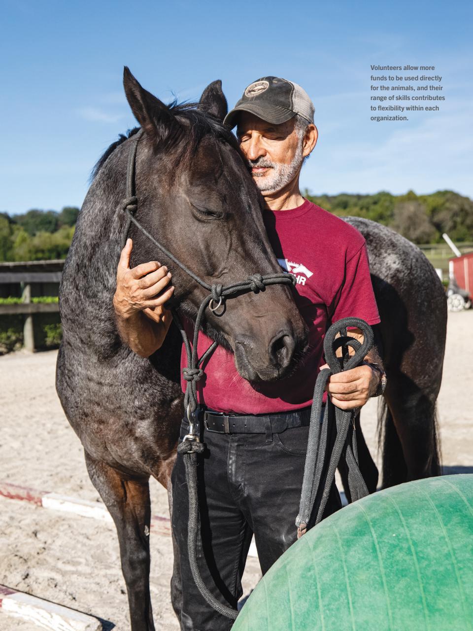 Horse Illustrated Magazine Preview Pages