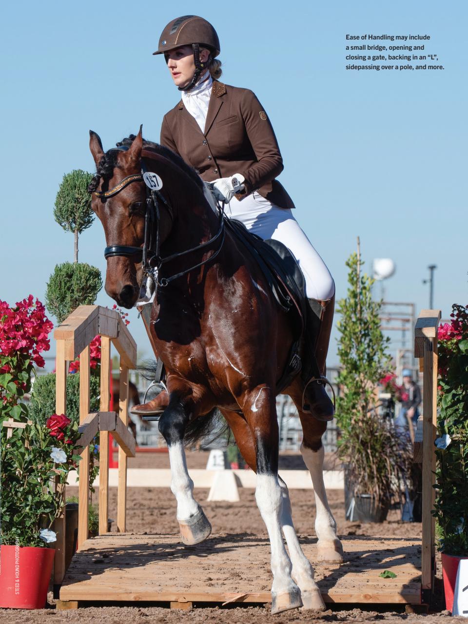 Horse Illustrated Magazine Preview Pages