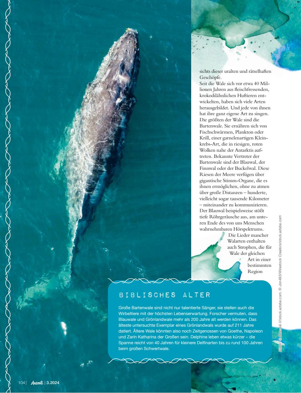 Auszeit Preview Pages