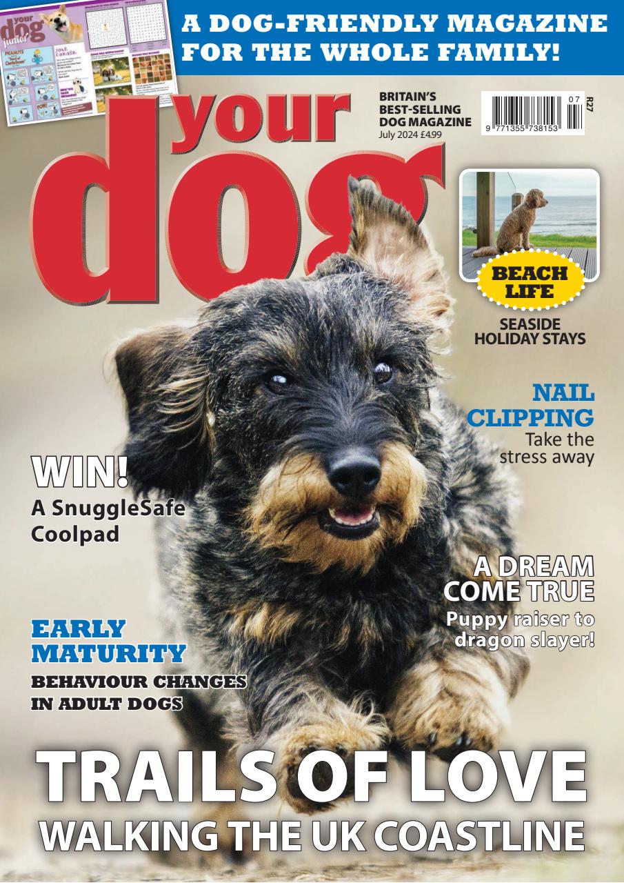 Your Dog Preview Pages
