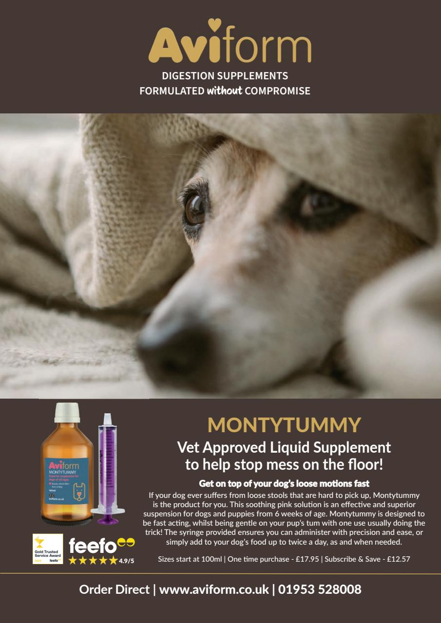 Your Dog Preview Pages